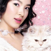 为何孤独的人喜欢养猫？